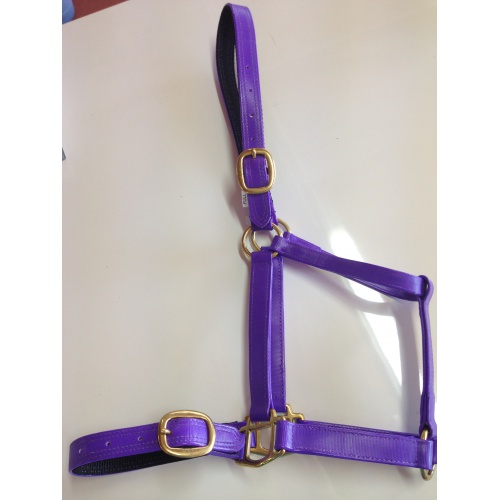 rio halters